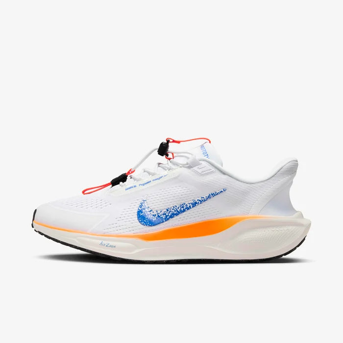 Nike Pegasus EasyOn / Blueprint