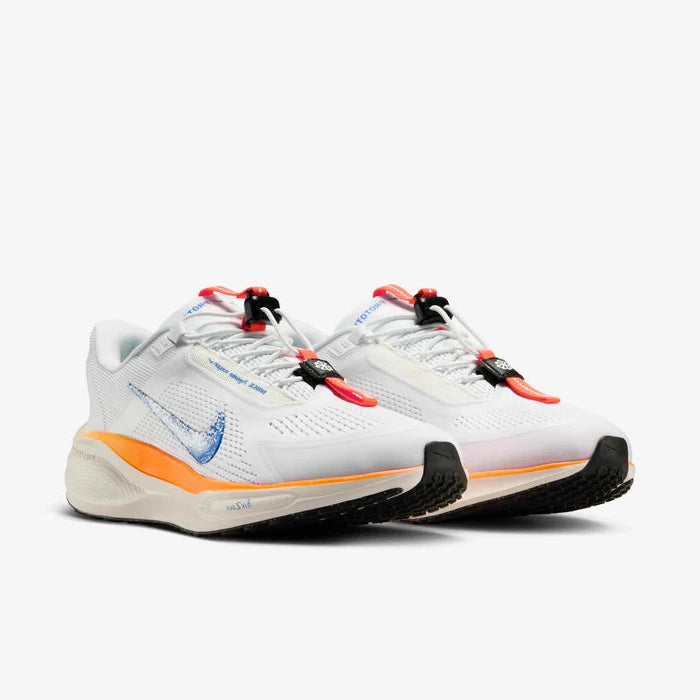 Nike Pegasus EasyOn / Blueprint